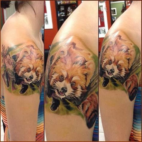 Check spelling or type a new query. My red panda tattoo! | Panda tattoo, Red panda, Animal tattoo