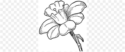 Disegni a matita 3d che ti faranno rimanere a bocca aperta! Più preferito Fiori Disegni A Matita - Disegni da ...