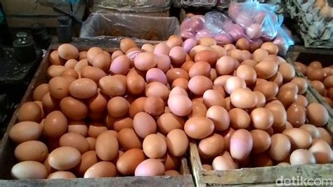 Harga telur ayam negri segar / fresh. Di Kota Rembang Harga Telur Ayam Turun Menjadi Rp 25.000 ...