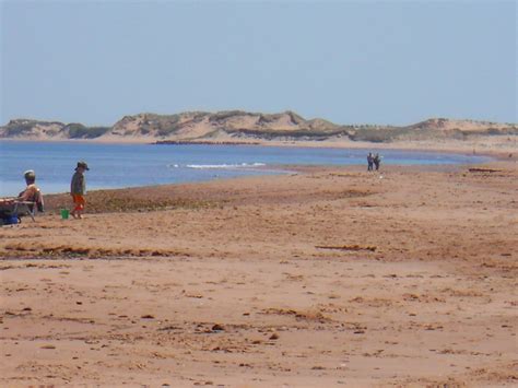 Bunche beach preserve is technically a clothing. The Pathway to Defining Taste: My hometown