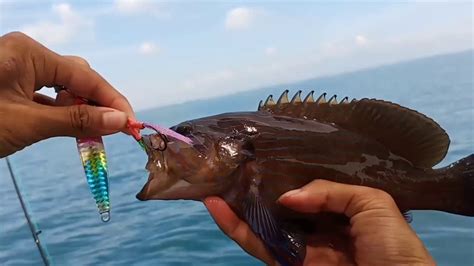 Maybe you would like to learn more about one of these? Trip jigging ikan jenahak on jig proz kaido 4.g - YouTube