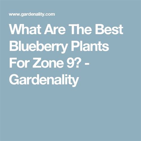 States in growing zone 1. What Are The Best Blueberry Plants For Zone 9 ...