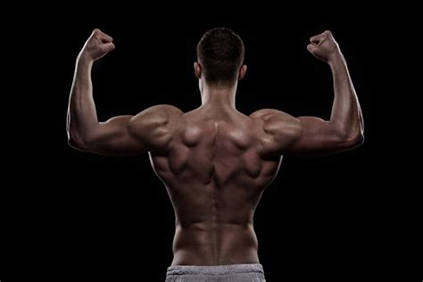 Stan prokopenko • june 2, 2016 • 2 comments. Image result for bodybuilder upper back muscle | Upper back muscles, Back muscles