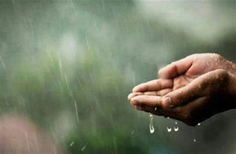 يقول العالم ابن سيرين أن رؤية المطر في المنام تدل على الرزق والرحمة من الله تعالى . رؤية المطر في المنام للمهموم