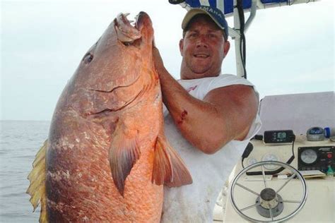 The deal carries a $750k salary at the nhl level and includes a minor league guarantee of $215k. Giant Cubera Snapper Caught in Alabama Would Crush State ...