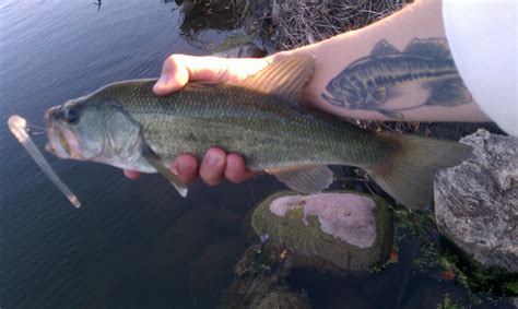 Simplicity is key when on foot. Illinois Wisconsin Fishing: golf course and small pond ...