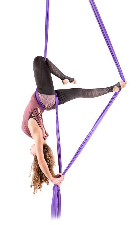 Aerial Silk Vienna - Your new obsession | Aerial silks, Elements of dance, Aerial dance