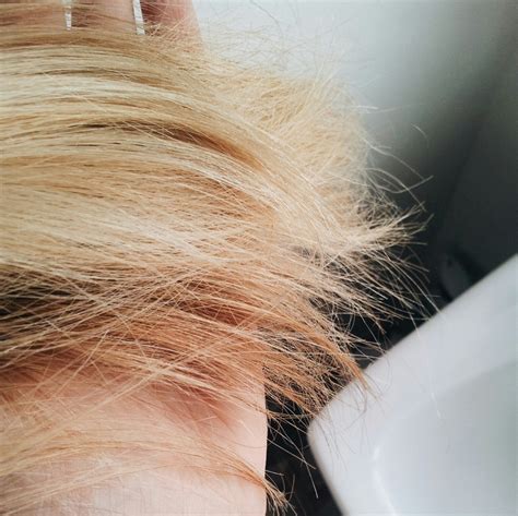 Better bleach powders will leave your hair healthier and less damaged after use compared to a generic product, making them a good idea for more than one reason. REVIEW: TRYING BLEACH LONDON'S ROSÉ SHAMPOO - Melissa Reanna