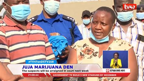 We link to the best sources from around the world. JUJA MARIJUANA DEN: 900 kilograms of bang nabbed in Juja ...