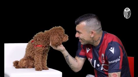 Gary medel profil), stranice momčadi (npr. Fichajes 2019 - Gary Medel fichó por el Bologna de la ...