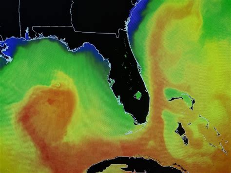 Nasce nel golfo del messico trasportando acqua calda tropicale verso l'atlantico settentrionale. L'hamburger vegetale esiste e si chiama proprio così ...