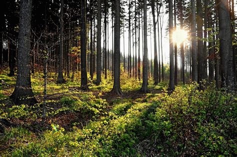 Repubblica ceca, viaggio all'insegna di musica e letteratura. La bellezza onirica nei paesaggi naturali della Repubblica ...