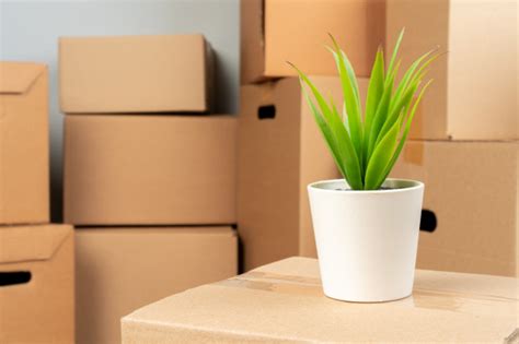 No 299 , 5 th main , 1 st block. Best Relocation Services in Bangalore | Sri Vinayaka Packers