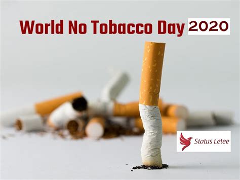 Cancer is no joke, so put down that smoke. No Smoking Slogans For World No Tobacco Day 2020 - Status ...