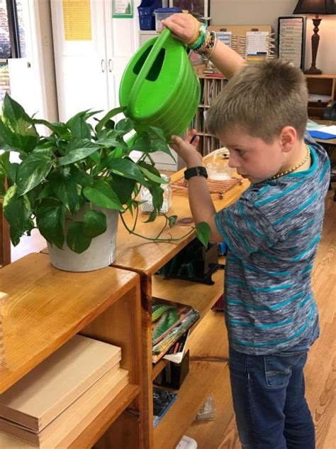 They also mention that you need to be patient as the cactus takes a while to row. Growing plants in the classroom can provide a wealth of ...