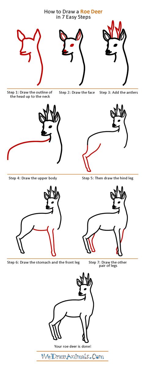 Below are 12 printable diagrams that give kids easy step by step instructions on how to draw a whole set of adorable ocean animals! How to Draw a Roe Deer