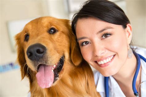 Emergencies of any sort that involve your pet necessitate a visit to the emergency veterinary clinic. Emergency Veterinary Services | Durham & Chapel Hill, NC