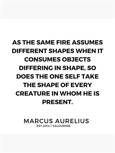 Personalized quotes marcus aurelius posters & prints from zazzle! 23 | Marcus Aurelius Quotes | 200107 | Poster in 2020 ...