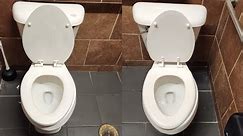Two Newer Mansfield ProFit toilets