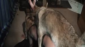 Porno zoo d'une soumise capturÃ©e pour baiser avec un chien