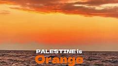 Palestine is... 🇵🇸 #فلسطين #مدن #palestine #freepalestine | Palestinian Rug