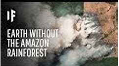 What If We Lost The Amazon Rainforest?