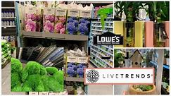 Shop Lowe’s Indoor Plants, Tulips, Hyacinth and Shrubs! 🌷🪴