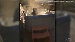 Black bear takes a dip in cottage hot tub
