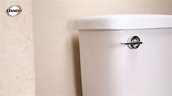 Danco Toilet Replacement Handle (12044)