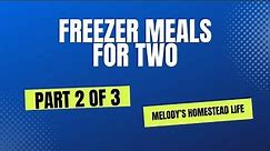 Freezer Meals for Two - Part 2