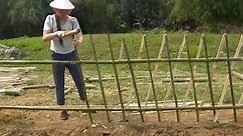 -Large Vegetable Garden, Sow Vegetable Seeds, Building Farm Hoàng Thị Chiển