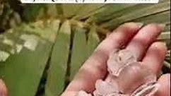 Crystal Quartz (Sphatik) Kumbh Kalash #crystals #healing #crystaltherapy #clearquartz