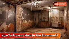 How To Prevent Mold In The Basement? - Mold Busters