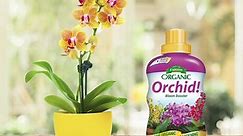Espoma Organic Orchid!