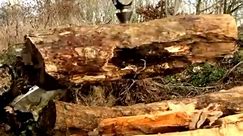 Contact us at @exac1 for a full range of attachments. Contact us at @exac1 44(0)1684593052 for details and pricing. #logsplitters #logprocessor #farmlife #treesurgeon #treefelling #diggerlife #diggerattachments #excavator #excavatoroperator #excavatorlife #farmmachines #treesurgeon #treeshears #treefelling🌲🌳 #diggersclub #excavators #diggerattachments #logsplitters #conesplitters #blacksplitter #wackerneuson #postdriver #landscapinguk #farminglife🚜 #farming #treesurgeryuk #treesurgeons #logsp