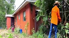 INJURED homeowner UNABLE to keep up with lawn so I SURPRISED HIM!! [INSPIRING YARD MAKEOVER]! #satisfying #cleaning #relax #removal #fyp #albladez #viralvideos #Transformation2024