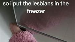 Frozen Lesbians: An Animatic Battle of Love and Ice