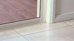 Automatic Pet Door