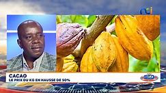 BLONDE DOUA, Producteur de cacao sur NCI... Les producteurs sont contents du prix de 1500 Fcfa