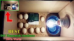 DIY Homemade Incubator for Chicken Eggs | Hatching Eggs at Home 100% Works