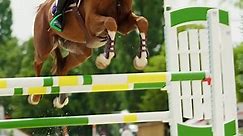 Horse Jumping Fences Equestrian Competition Compilation Stock Footage Video (100% Royalty-free) 28053352 | Shutterstock