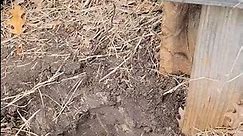 How to dig a fence post hole the fun way
