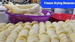 Freeze Drying Bananas with HarvestRight Freeze Dryer