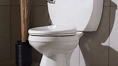 How to Choose the Best Toilet for Your Home