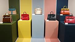 Hermès sued over claims it only sells Birkin bags to ‘worthy’ customers