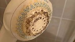 Cleaning fans warn against using bleach on grimy shower heads and offer solution