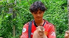 Time to feed my lovely boy monkey Rojo and other monkeys. Today Rice is so delicious and sweet.