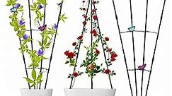Garden Trellis for Climbing Plants, Small Trellis for Potted Plants, Plant Support Obelisk Trellis Garden Trellises for Vines Flowers Stands Plant Climbing Trellis Indoor and Outdoor 2 Pack