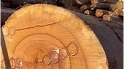 repair crack wood peice #woodcrafting #woodworking #woodcraft #woodcrafts #handmade #wood #woodcraftsman #art #woodwork #woodworker #woodcarving #woodlovers #woodart #woodworkings #woodworkingfun #woodcrafter #wooddesign #woodshop #woodworkinglife #woodworkshop #customwoodwork #woodturning #woodworkingmom #woodworkin #woodcrafted #beautifulwoodworking #salvagedwood #woodstain #woodburning #woodworkingwiki | Wood Woorking