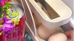 Egg Dispenser Refrigerator Egg... - NCS Srilanka online store